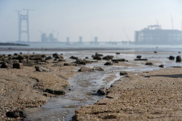 cohort expansion tracking entries