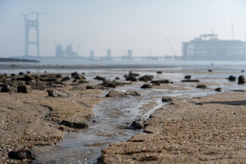 cohort expansion tracking entries